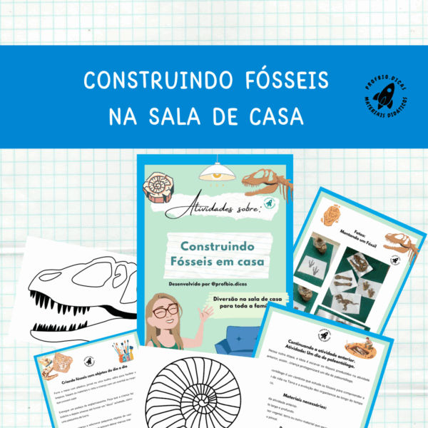 Construindo Fósseis na sala de casa .
